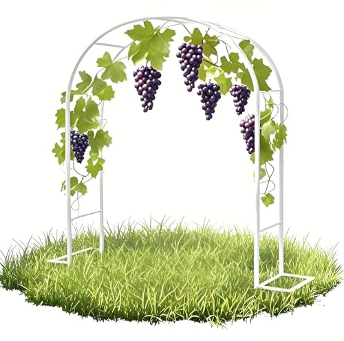 Rosenbogen Metall, Gartenbogen，Rankbogen für Kletterpflanzen, Stabil Metall Torbogen Rankhilfe 80cmx200cm/160cmx220cm/20cmx230cm/240cmx220cm/300cmx220cm Weiß/Schwarz/Grün Hochzeitsbogen Pergola(White,
