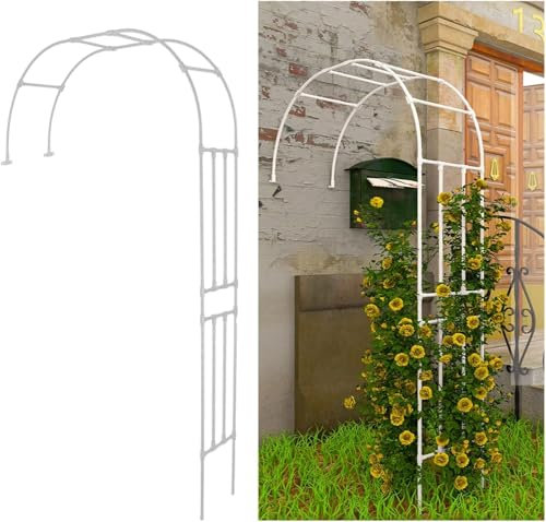 Arche de jardin en métal blanc pour plantes grimpantes et décoration de mariage 240 cm Idéal pour le jardin et les événements en plein air