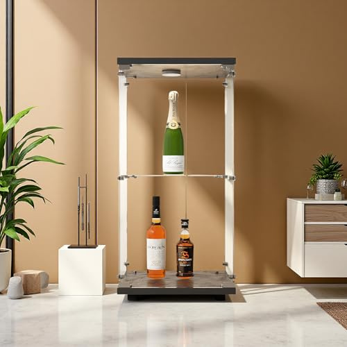 SUNFECILI glasvitrinskåp, snyggt glasskåp, 1 dörr, curio-skåp med lås för samlarobjekt, böcker och vin, glasskåp, vitrinskåp, perfekt för vardagsrum och kontor (svart, 2 strati+LED)