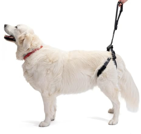 ORTOCANIS - Imbracatura per Cani Anziani o Disabili con Zampe Anteriori o Posteriori Deboli, Taglia Unica, 4 a 55 kg