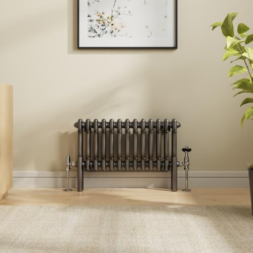 NRG 300 x 605 mm Rohmetall, traditioneller Gusseisen-Stil, Doppelsäulen-horizontaler Heizkörper, Zentralheizung, perfekt für Badezimmer, Küche, Wohnzimmer