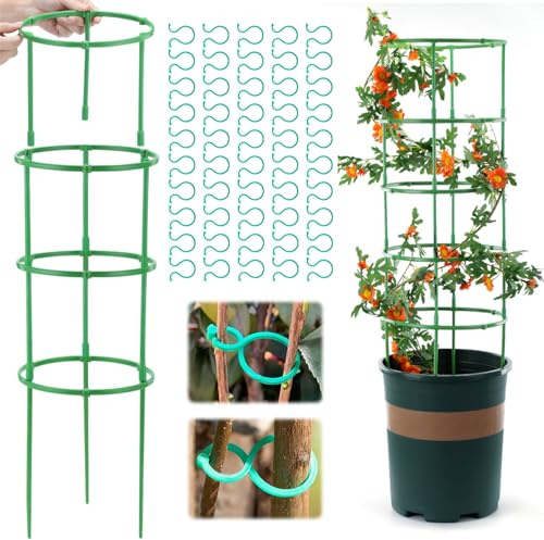 Tomaten Rankhilfe Verstellbare Höhe, Tomatenturm 20 * 15cm/Schicht, Pflanzenstütze Set mit 50 Ringe + 50 Stangen, Pflanzenhalter aus Kunststoff, für den Anbau von Blumen Gemüse (A+50 Clip)