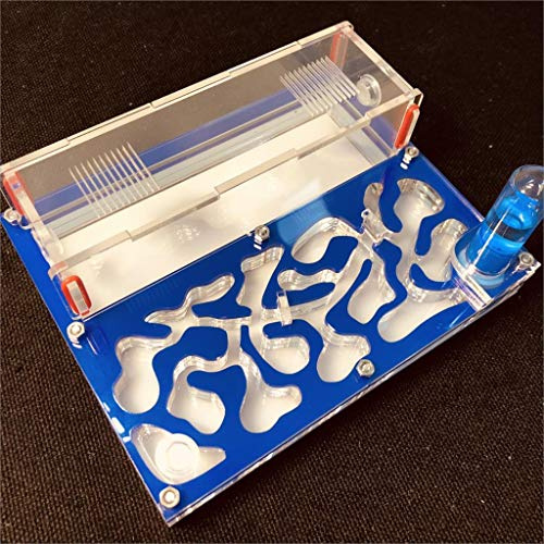 Formicarium Naturelle pour Ferme à Fourmis pour Tube à essai de Fourmis Live Humidité Grand Espace Nid de Fourmis en Acrylique, Fourmilière Insectes (Bleu)