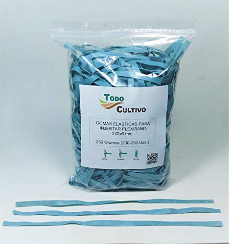 Flexiband Caoutchouc élastique pour greffer des Arbres et des Plantes 240x6mm 250 GRMS.
