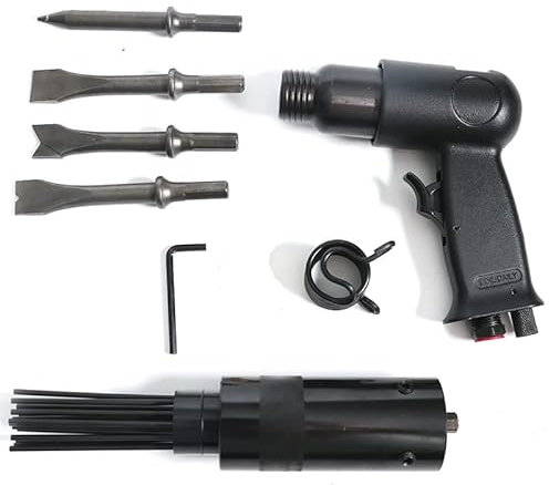 Nadelentroster Druckluft Nadelpistole mit 19 Nadeln und Lufthammer Pistole 4 Meißel Entroster Rostentferner Set（2 in 1/Schwaz）