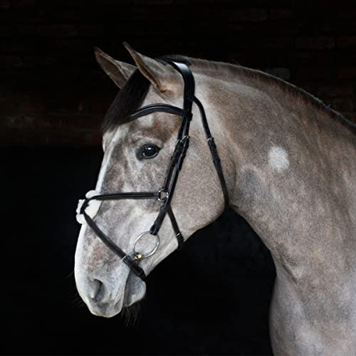 Harry Hall Cottage Craft Grackle Bridle Black | Anatomical Horse Bridles | Grackle Noseband For Cob | Leather Tack