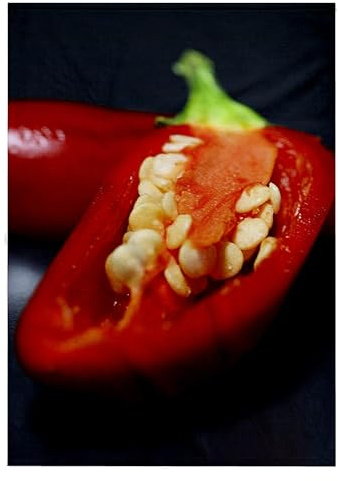 3dRose Capiscum Seeds - Chili, Chili Pepper, Chilli, Chilli Peppers, Pepper, Peppers, red 22x30 Bath Hand Pool Towel