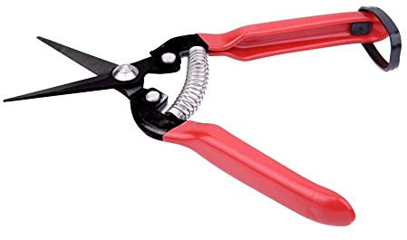 HODAGES Gardening tools Grafting Garden Scissors High Carbon Steel Fruit Tree Pruning Shears Bonsai Pruners Gardening Secateurs Garden Shears