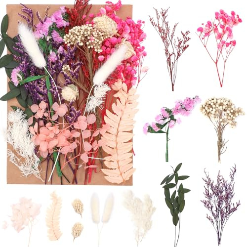 Halinuia Bouquet de Fleurs Séchées Naturelles Vraies Fleurs Pressées Décoration pour Bricolage Résine Epoxy Bijoux Floraux Nail Art DIY Bougie Fabrication Artisanale Scrapbooking(Multicolore)