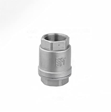 JIYAMI'EN EL 1/2 3/4 1 2 Zoll BSPT Female Frühling Rückschlagventil Rückschlag 304 Edelstahl-Wasser-Gas-Öl (Specification : 2inch)
