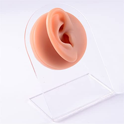 XIOFYA 1 stück brandneues silikon Ohr Modell Praxis Piercing Tools verwendet for kopfhörerzubehör Display kostenlos erfahren (Farbe : Brown Right Ear)