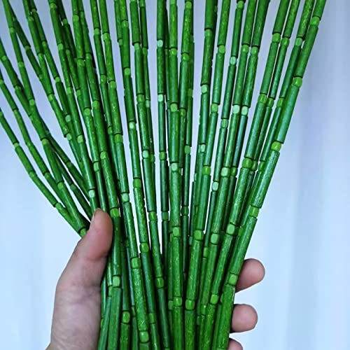 UVCMDUI Green Bamboo Beaded Curtains for Doorways, Bamboo Beaded Curtain Boho-Bohemian Door Doorway Beads Handmade Bead Curtain, Multi-Function Fly Screen or Room Divider,40 Strands W75xH125cm