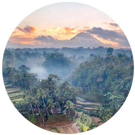 Runde Fototapete selbstklebend - 3D Natur Vliestapete Made in Germany UV-beständig Geruchsfrei - Motivtapete Foto Motiv grün Wohnzimmer Schlafzimmer 2679-SK (50x50cm)