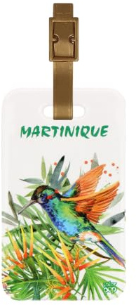 Color Pop Étiquette de Bagage/Valise - PVC Collection Martinique (Colibri) | Confidentialité des coordonnées - Fabrication française - 10,6 x 6,2 cm