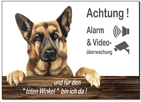 Schäferhund-Alarm-Video-Überwachung-Hund 300 x 200 x 3 mm Materialstärke-Schild-Hundeschild-Aluminium-Hunde-Tierschild-Warnschild-Hinweisschild (1451-105 -mit Löcher)