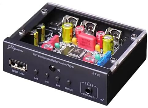 Lonrtesw Decodificador de Audio HiFi Bluetooth 5.3, Receptor Audio de 24 bits y 48 KHz, Decodificación Sin Pérdida, Reproducción USB, Amplificador Operacional OPA2134 Integrado, Radio FM.