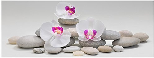 levandeo Glasbild 80x30cm Wandbild aus Glas weiße Orchideen Blume Steine Bambus Feng Shui