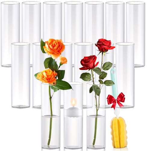 16Pcs Glass Cylinder Bud Vases for Centerpieces,7.7 In Tall Clear Flower Vases in Bulk,Glass Small Vases Floating Candle Holder for Party,Home Decor,Wedding Decoration,Birthday,Anniversary,Baby Shower