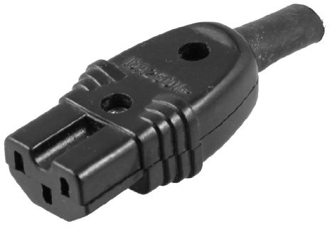 Ruilogod Cuisinière à riz électrique AC 250V 10A C15 Prise de courant C15
