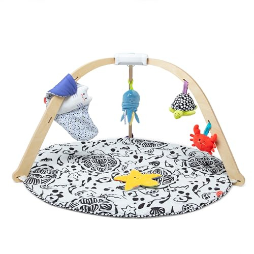 Melissa & Doug Ocean Easy-Fold Play Gym Developmental Toy for Infants, Reversible Mat, 5 Soft Toys, Birth to 9 Months