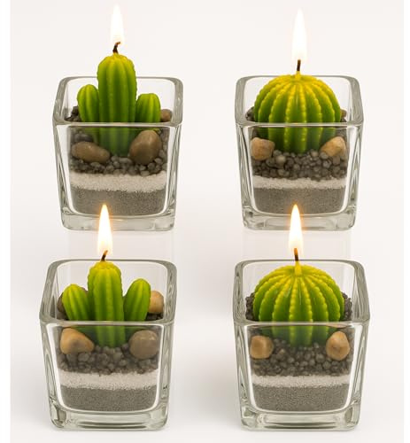 damaloo 4x Kaktus Kerzen Set im Glas – 4er Set Kakteen Kerze Deko Grün – Mini Kerzenset - Kaktuskerzen im Glas - Kleine Teelichter in Kaktusform – Sukkulenten Dekoration für Frauen & Männer