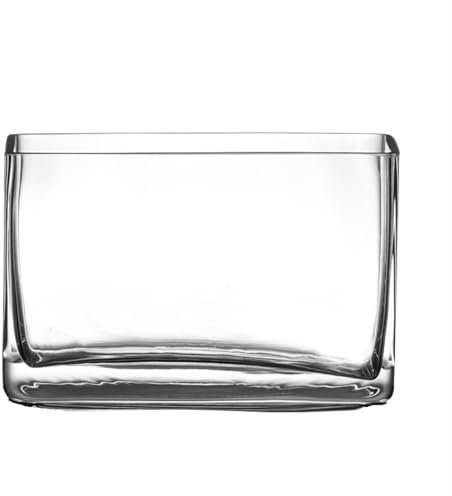 Terrarium Glasaquarium Wohnzimmer Kleines Rechteckiges Mini-Aquarium Heimaquarium Desktop Kreatives Kampffischaquarium Insekten Schildkröten