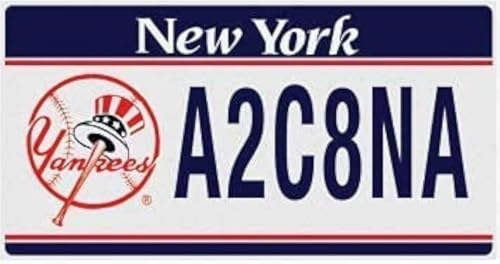 OPO 10 - Plaque D' IMMATRICULATION de Voiture USA - réplique en métal : New York (N39)