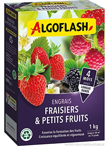 ALGOFLASH Engrais Fraisiers et Petits Fruits 1 kg FRAI1N
