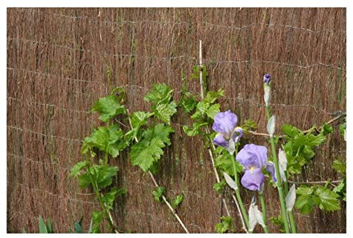 IBEROGARDEN Brezo Marron ECOLOGICO Extra 1,5 X 5