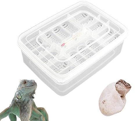 Reptilien-Aufzuchtbox, Reptilien-Brutbox | 16 Gitter transparenter Eierbrutkasten,Inkubationsbox für die Entwicklung von Reptilieneiern, Brutkasten, Bruttablett