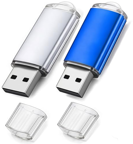 WISEORANGE Clé USB 8 Go Lot de 2 Clef USB 2.0 8Go avec Balises utiles pour Le Stockage et la Sauvegarde des données (Argent et Bleu)