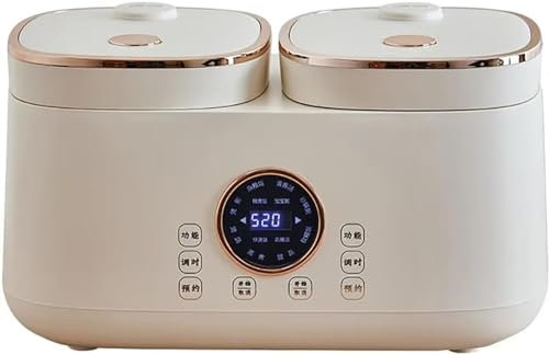 Cuiseur à riz électrique professionnel, 400W 2L + 2L Accueil Double réservoir intérieur Cuiseur à riz multifonction, rendez-vous 24h, cuiseur à riz intégré non adhésif