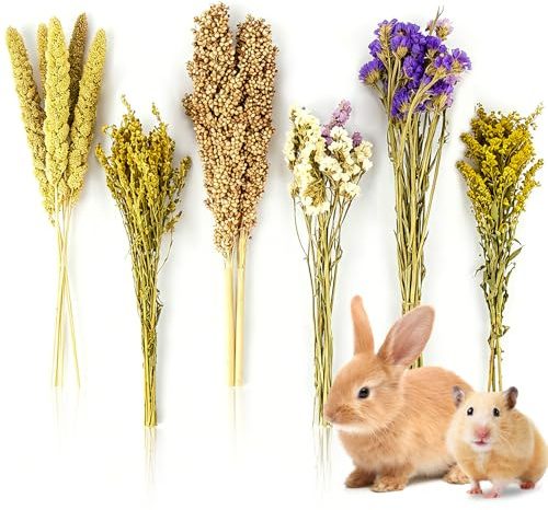 Sukh Natural Hamster Bedding Sprays - Foraging Habitat Decor Cage Accessories, Hideout Enrichment for Dwarf & Syrian Hamsters, Gerbils, Mice and Other Small Animals