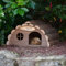 CKB LTD Wooden Hedgehog or Guinea Pig House Outdoor Shelter Outside Habitat House - Hotel Can Also Be Used For Hibernation Home For Garden Shelter 33.5 x 34 x 19cm