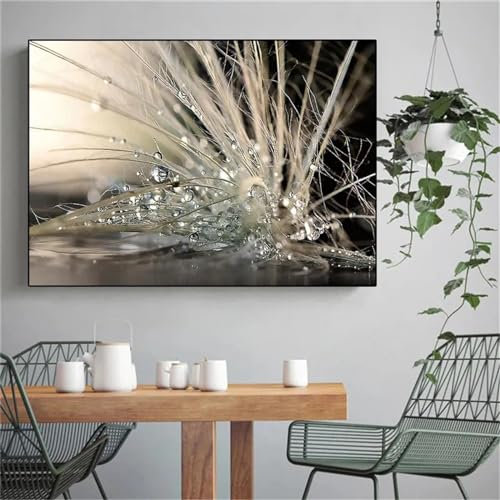 Zhadongli Art Leinwandgemälde mit Wasserperlen am Morgen, Wassertropfen nach dem Regen, Poster und Drucke, schöne Landschaft, Wandbild, Raumdekoration, 40 x 50 cm (16 x 20 Zoll) mit Rahmen