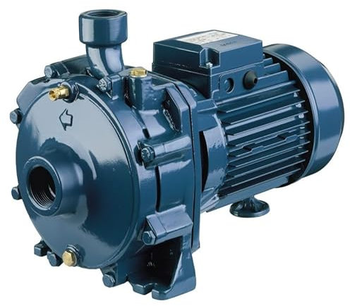 Ebara - Pompa per acqua CDAI150T 1,1 kW a doppia ruota in ghisa fino a 6,6 m3/h trifase 380 V