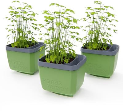 GUSTA GARDEN Herbs Buddy - Selbstbewässerungstopf & Kräutertopf für Küche & Fensterbank, Ideal für Basilikum, Wassertank, Wasserstandsanzeige