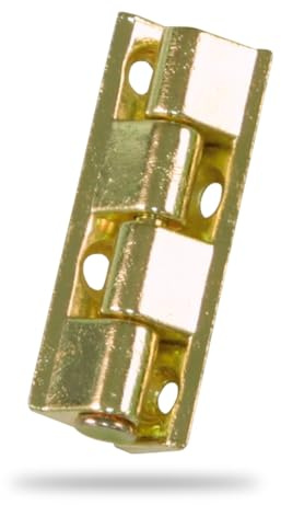 Amig - Bisagra para Armarios, Zamak, Latonado, 40 X 9 mm, Desmontable, Material resistente duradero, Fácil de Instalar