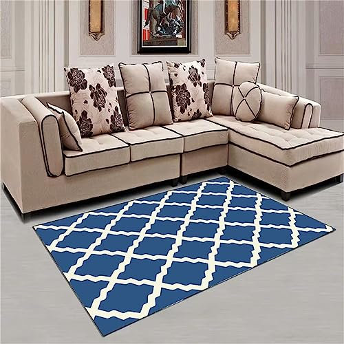 RUGMRZ Salon Auslegware Geometrie Wohnzimmer Salon Bad teppiche blau flauschig Wohnzimmer Dekoration Salon Auslegware Balkon Teppich outdoor180x270CM