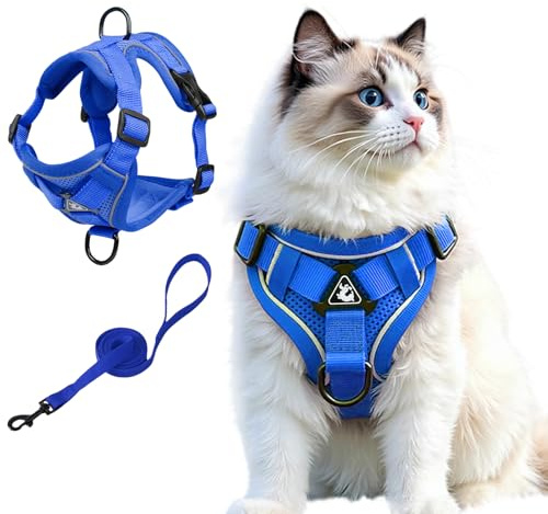 Cat Harness Katzengeschirr mit Leinen Set, Geschirr Katze Ausbruchsicher Verstellbares Katzenwestengeschirr mit Leine für Kleine Katzen, Weiche Netzjacke mit Reflektierenden Streifen (S, Blau)