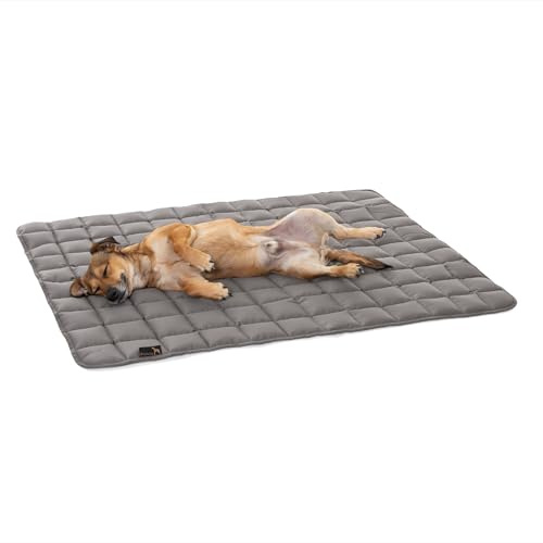 Pointer | Hundedecke 80 x 60 cm, Gepolstert & Strapazierfähig - Hundematte Waschbar bis 95°C, Liegedecke für Boden oder Sofaschutz - Outdoor geeignet (M - 80x60 cm, Hellgrau)