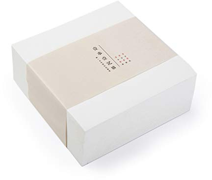 VANRA Note Cube 4 x 4 Inch (Not Sticky) Memo Cube Refill (No Holder) Tear-Off Pages (Not Loose) Blank Scratch Pads, 400-Sheets/Cube (Ivory White)