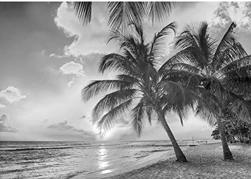 Runa Art Papel tapiz fotográfico Playa y mar 352 x 250 cm Lana Fondo De Pantalla XXL Moderna Decoración De Pared Sala Cuarto Oficina Salón En blanco y negro 9243011c