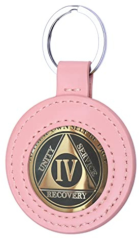 Wisdompro PU Leather Coin Holder Keychain for AA Medallion, Standard Challenge Coin, Recovery Chip - Pink