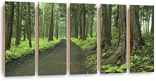 Feeby Wanddeko 5 Paneele 200x80 cm Farn Bäume Natur Wald Deko Wand Kunst Wohnzimmer Wohnungs Deko Pflanzen Blätter Pfad Grün