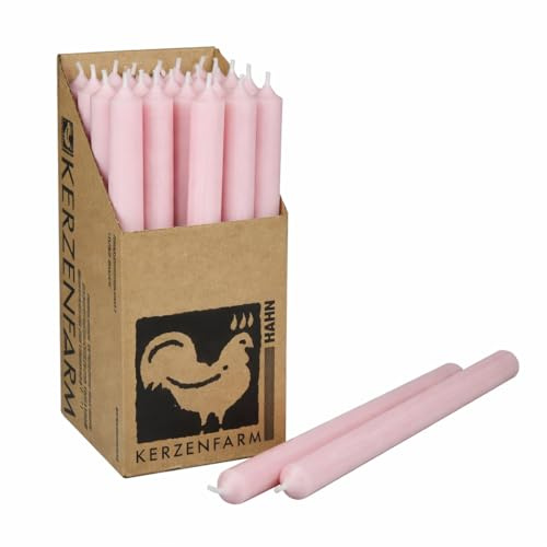 Extra lange Stabkerzen durchgefärbt 25cm (250x22mm) | RAL Tafelkerzen mit 12h+ Brenndauer | Ohne Tropfen & Rußen | Leuchterkerzen für Deko | Made in Germany (25, Pastellrosa)