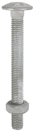 Timco - Bulloni a testa tonda e dadi esagonali - zincato a caldo (dimensioni M8 x 150-25 pezzi)