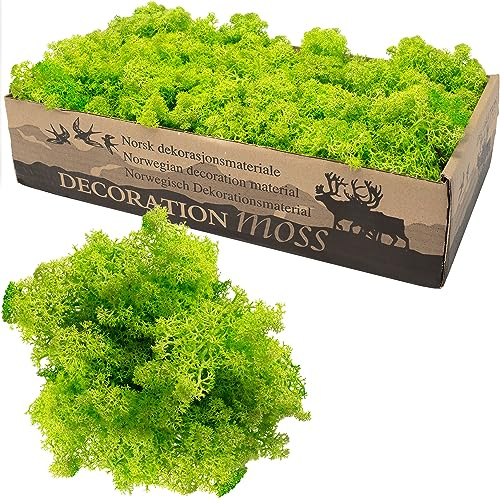 Flowerbox Karton Islandmoos Helles Grasgrün 500g