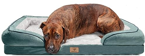 Traumreiter orthopädisches Hundebett für große Hunde ca. 135x100 cm (Innenmaß ca. 113x78 cm) I Hundekörbchen Hundekorb Hundekissen Hundehöhle Hundesofa Hunde Bettchen Hundebetten für mittlere Hunde
