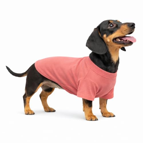 Lovelonglong Hund T-Shirt, 100% Baumwolle, Haustier T-Shirt, Hund-Unterhemd T-Shirts Für Dackel, Corgi Lotuspink D-L
